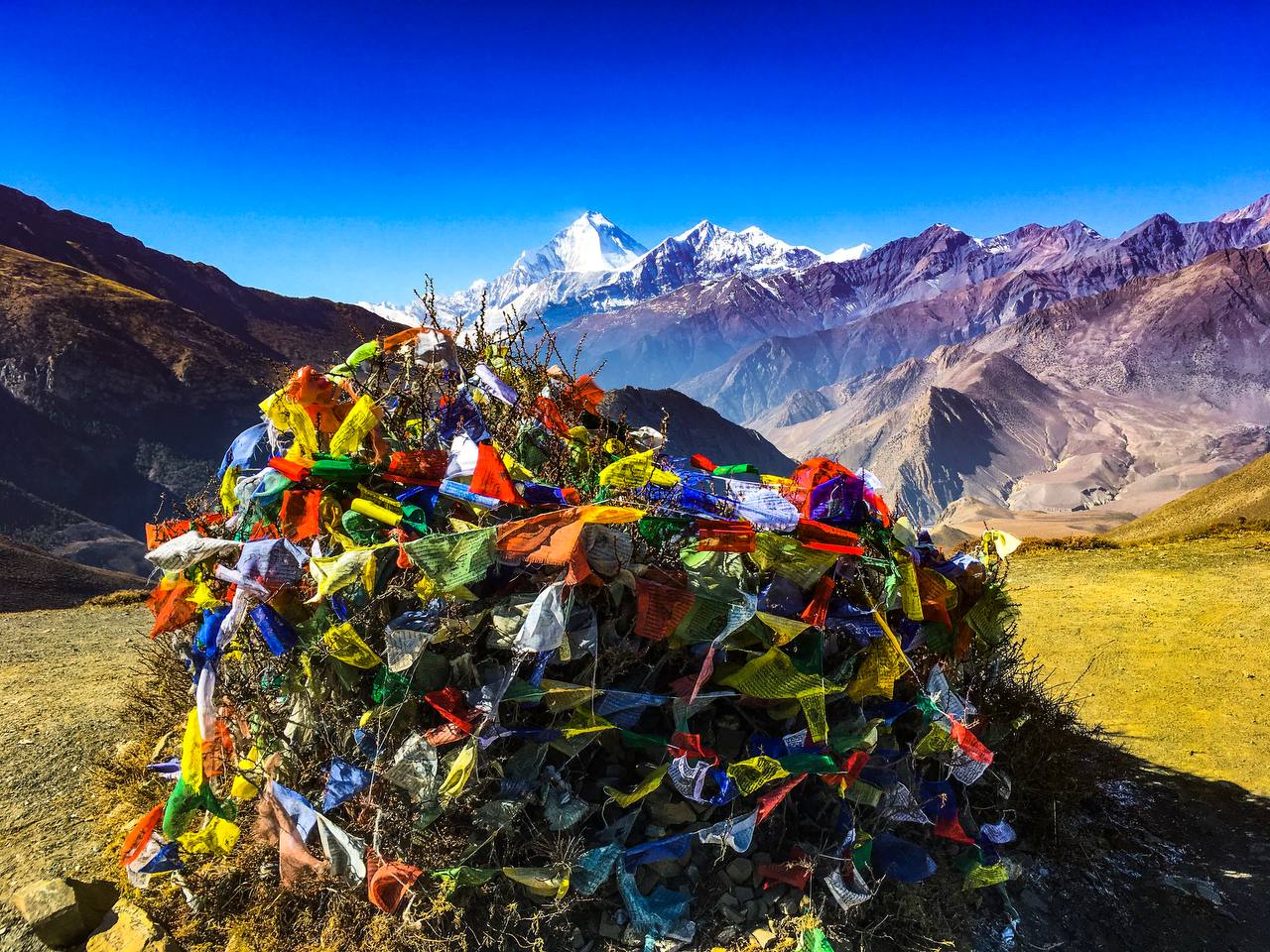 America  National Parks with Denver