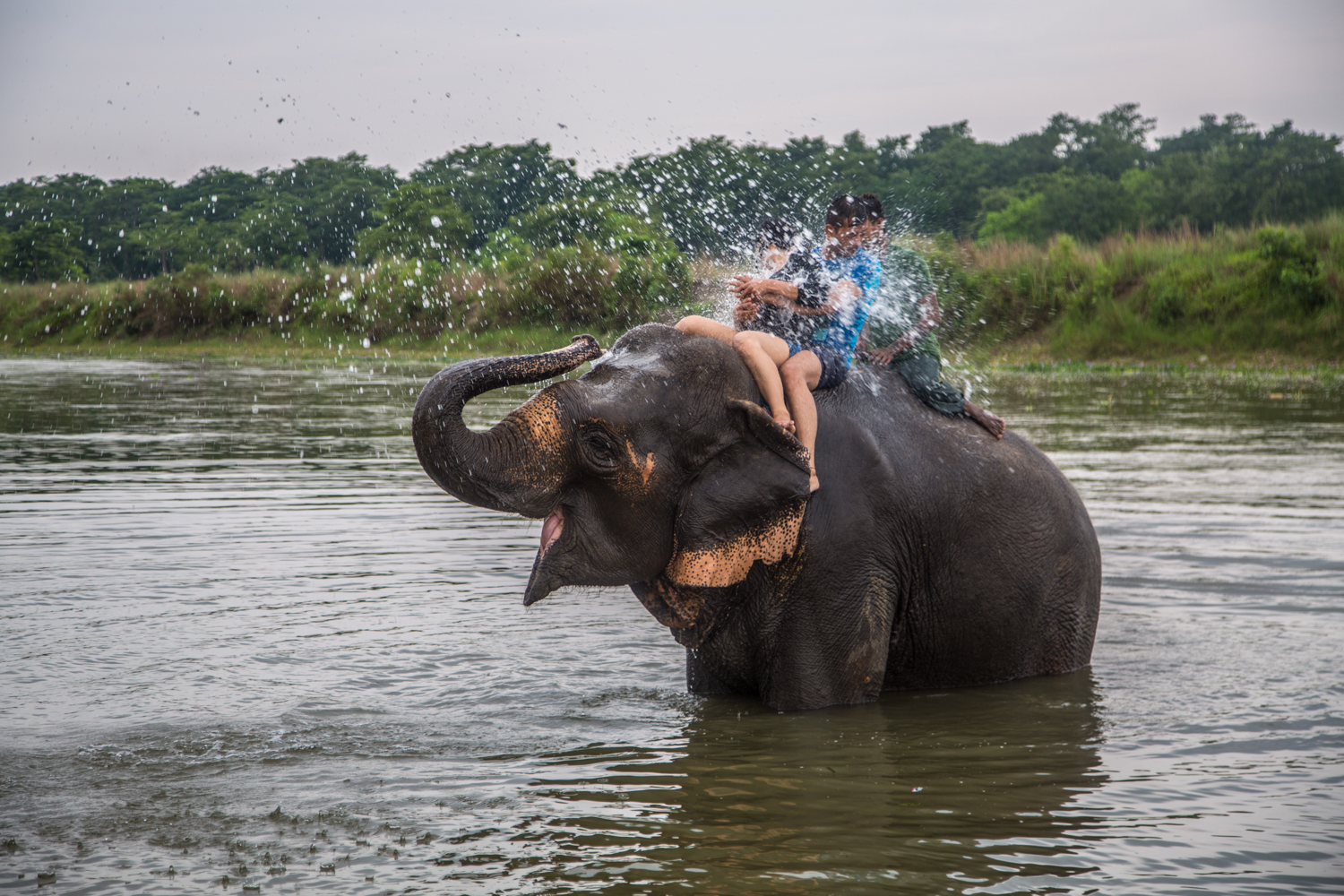 Safari of Nepal Through Glamping