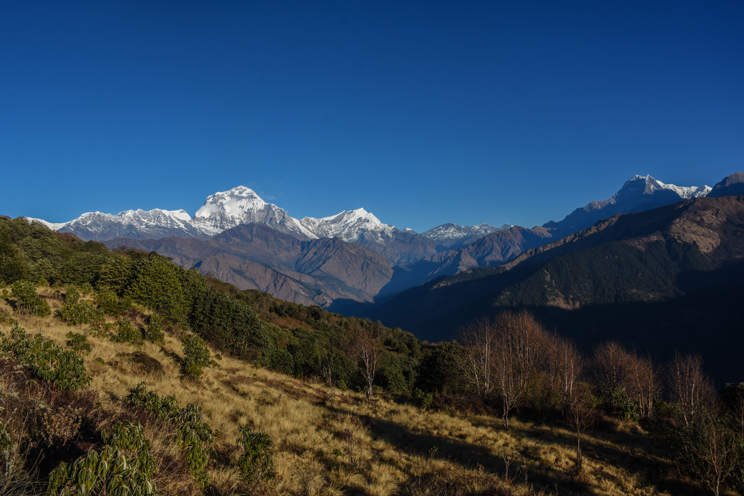Dhaulagiri Expedition